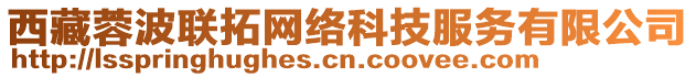 西藏蓉波聯(lián)拓網(wǎng)絡(luò)科技服務(wù)有限公司