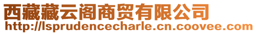 西藏藏云閣商貿(mào)有限公司