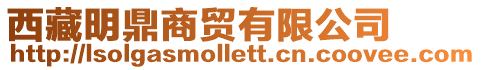 西藏明鼎商貿有限公司