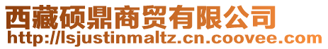 西藏碩鼎商貿有限公司