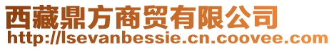 西藏鼎方商貿有限公司