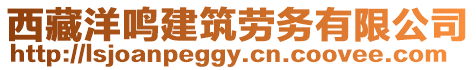 西藏洋鳴建筑勞務(wù)有限公司