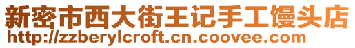 新密市西大街王記手工饅頭店