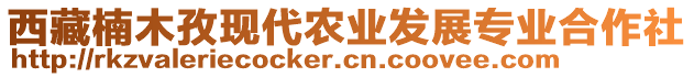 西藏楠木孜現(xiàn)代農(nóng)業(yè)發(fā)展專(zhuān)業(yè)合作社