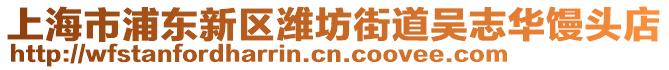 上海市浦東新區(qū)濰坊街道吳志華饅頭店