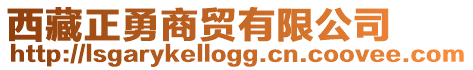 西藏正勇商贸有限公司