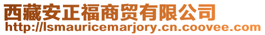 西藏安正福商貿有限公司