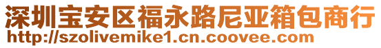 深圳寶安區(qū)福永路尼亞箱包商行