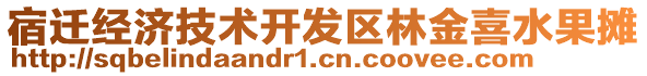 宿遷經(jīng)濟(jì)技術(shù)開發(fā)區(qū)林金喜水果攤