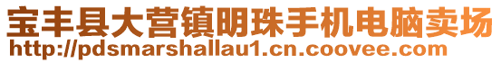 寶豐縣大營鎮(zhèn)明珠手機(jī)電腦賣場