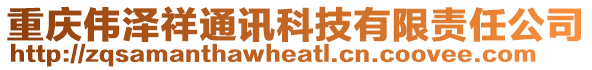 重慶偉澤祥通訊科技有限責(zé)任公司