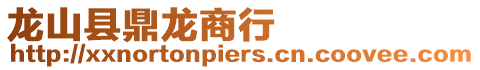龍山縣鼎龍商行