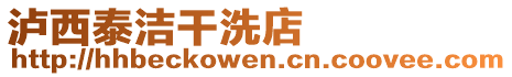 瀘西泰潔干洗店