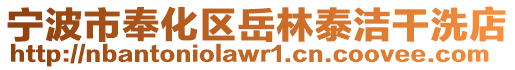 寧波市奉化區(qū)岳林泰潔干洗店