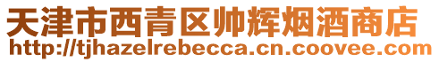 天津市西青區(qū)帥輝煙酒商店