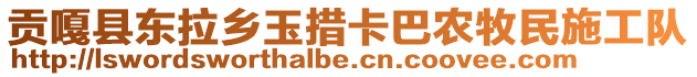 貢嘎縣東拉鄉(xiāng)玉措卡巴農(nóng)牧民施工隊