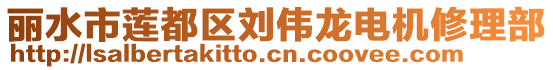 麗水市蓮都區(qū)劉偉龍電機修理部