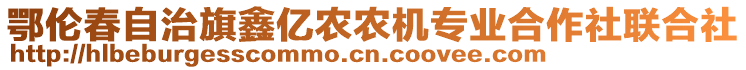 鄂倫春自治旗鑫億農(nóng)農(nóng)機(jī)專業(yè)合作社聯(lián)合社