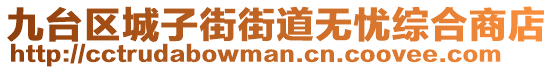 九台区城子街街道无忧综合商店