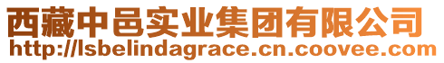 西藏中邑實(shí)業(yè)集團(tuán)有限公司