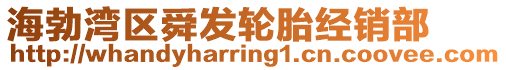 海勃灣區(qū)舜發(fā)輪胎經(jīng)銷部