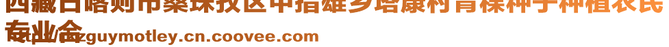 西藏日喀則市桑珠孜區(qū)甲措雄鄉(xiāng)塔康村青稞種子種植農(nóng)民
專業(yè)合