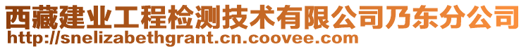 西藏建業(yè)工程檢測技術有限公司乃東分公司