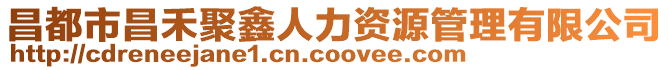 昌都市昌禾聚鑫人力資源管理有限公司