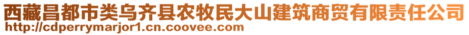 西藏昌都市类乌齐县农牧民大山建筑商贸有限责任公司