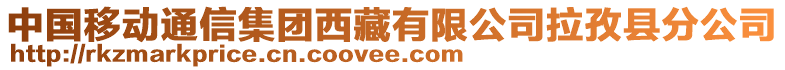 中國移動通信集團(tuán)西藏有限公司拉孜縣分公司