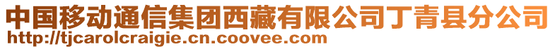 中国移动通信集团西藏有限公司丁青县分公司