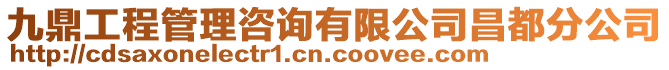 九鼎工程管理咨詢有限公司昌都分公司