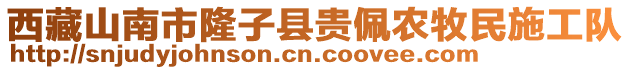 西藏山南市隆子縣貴佩農(nóng)牧民施工隊