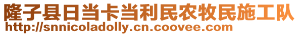 隆子縣日當(dāng)卡當(dāng)利民農(nóng)牧民施工隊(duì)