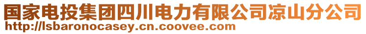 國家電投集團四川電力有限公司涼山分公司