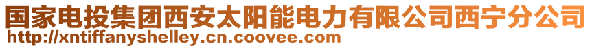 國家電投集團西安太陽能電力有限公司西寧分公司