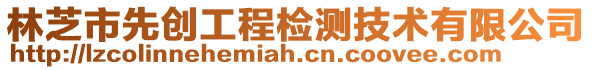 林芝市先创工程检测技术有限公司