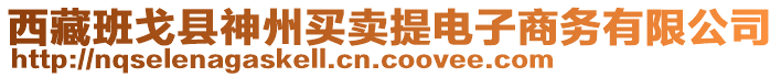 西藏班戈縣神州買(mǎi)賣(mài)提電子商務(wù)有限公司