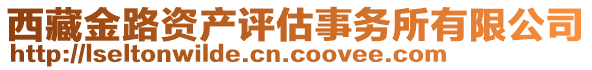 西藏金路資產(chǎn)評估事務所有限公司