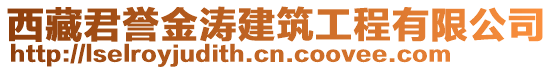 西藏君譽(yù)金濤建筑工程有限公司