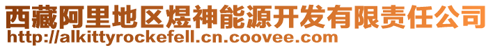 西藏阿里地區(qū)煜神能源開發(fā)有限責(zé)任公司