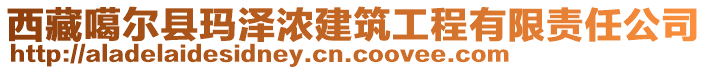 西藏噶爾縣瑪澤濃建筑工程有限責任公司