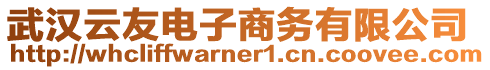 武漢云友電子商務有限公司