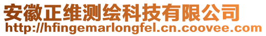 安徽正維測繪科技有限公司