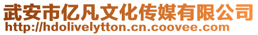 武安市億凡文化傳媒有限公司