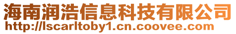 海南潤(rùn)浩信息科技有限公司