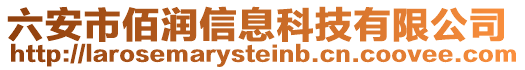 六安市佰潤(rùn)信息科技有限公司