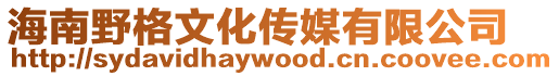 海南野格文化傳媒有限公司