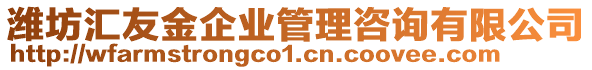 濰坊匯友金企業(yè)管理咨詢有限公司