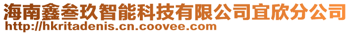 海南鑫叁玖智能科技有限公司宜欣分公司